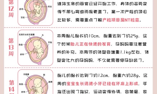 尼美舒利颗粒治什么网 | 尼美舒利颗粒治什么病,尼美舒利颗粒的治疗方法