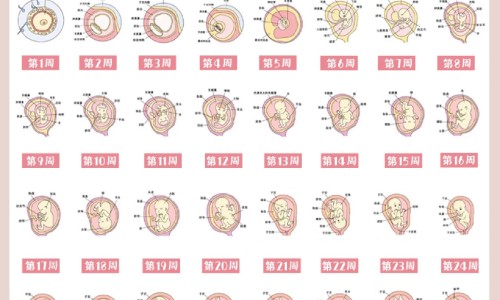 尼美舒利颗粒治什么网 | 尼美舒利颗粒治什么病,尼美舒利颗粒的治疗方法